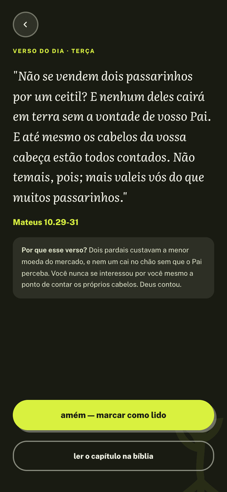 Tela do verso do dia